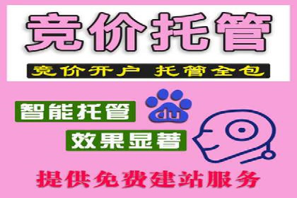 搜索引擎信息流广告的精准投放与效果提升